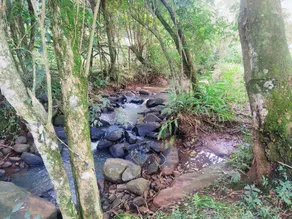 Espaço Manancial - Image 5