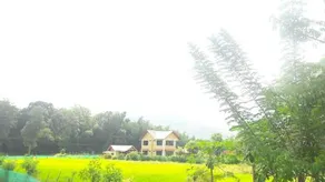 Tiger Roar Resort - Image 2