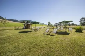 Hotel Andrea - Image 4