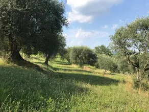 Casa vacanze Agli ulivi - Image 2