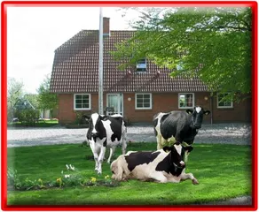 Hveddegaard Farm Holiday - Image 2