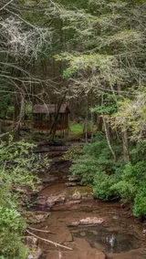Treetop Hideaway at Barr5 Ranch - Image 4