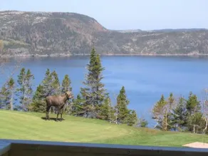 The View Golf Resort - Image 4
