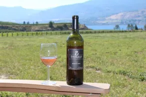 D'Angelo Winery Guest House - Image 2