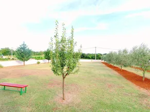 Spacious Holiday Home In Valtura With Garden - Image 3