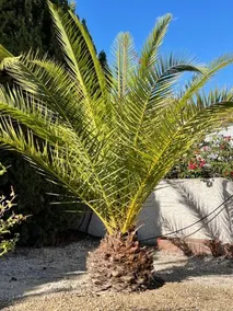Villa Casa Bella - Image 5