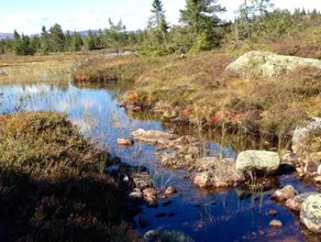 Blefjell Lodge - Image 2