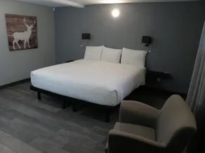Motel Saint Ambroise - Image 4