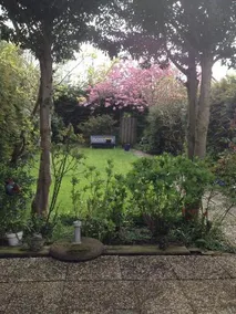 B&B De Tred - Image 4