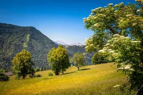 Reitlhof - Image 2