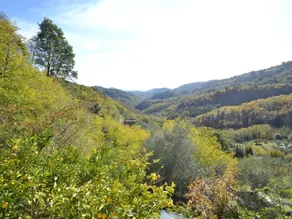 Authentic Colonial Property set in the Tuscan Hills - Image 3