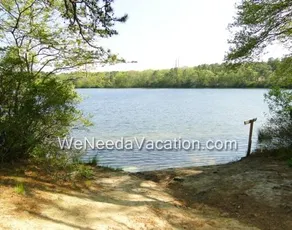 Seagulls Nest - Image 5