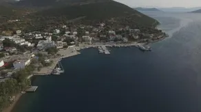 Korali - Image 5