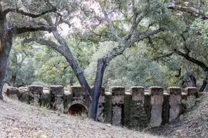 Huerta Barba - Image 5