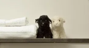 Sheepfold Bed And Breakfast - Image 4