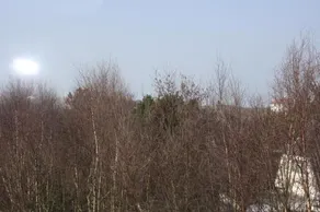 Boszicht Appartementen Schiermonnikoog - Image 3
