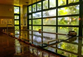 Hakkouda Resort & Spa - Image 4