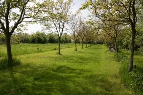 Heuvelhof B&B - Image 2