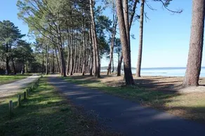 125 Chemin De La Pinede 046 - Image 2
