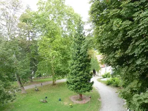 Weißenburg - Image 5
