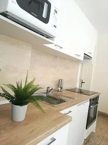 Authentic Dalmatian House - Image 2