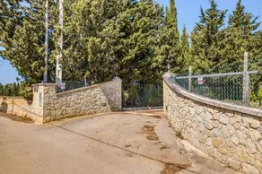 Es Vinyo - Image 2