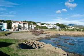 Flor de Mar 5 - Image 5