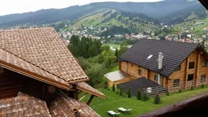 Cabana Vultur - Image 4