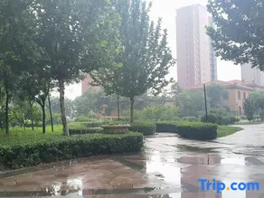 Tianjin Yujujusu - Image 2