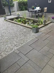 B&B Wadd'nster - Image 3