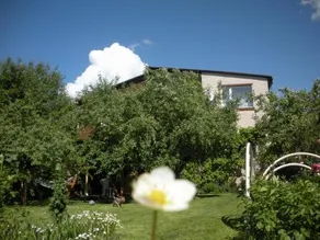 Rasas - Image 2