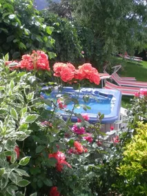 Hotel Rosenheim - Image 3