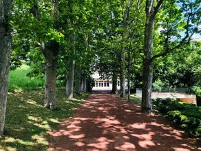 La Souveraine - Image 4