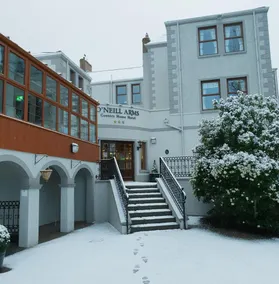 The O Neill Arms Country House Hotel - Image 2