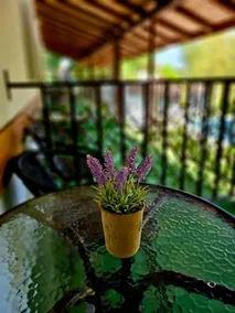 Orehite-Family Hotel ,Food & Pool - Image 2
