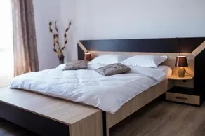 Vila Lion - Image 3