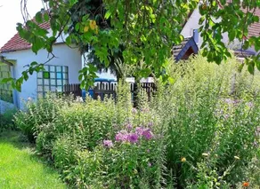 Tierfreundliches Ferienhaus Qualzo - Image 3