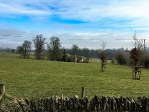 Meadow View - Image 3