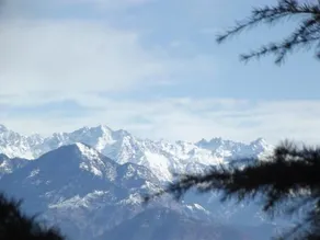 Pines and Peaks Hotel - Image 2