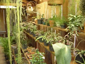 Ibiti Hotel Rural - Image 3
