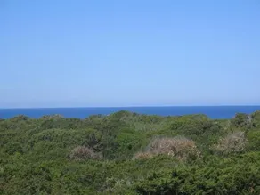 I Villini Di Baia Delle Mimose - Image 2