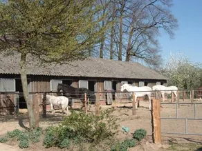 Ferienhof Schmidt - Image 4
