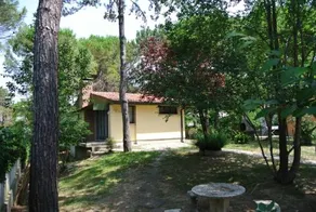 Villa- Livia - Image 5