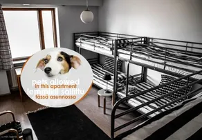 Saynatsalon Town Hall Apartment - Image 4
