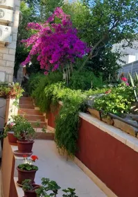 Villa Nina - Image 5