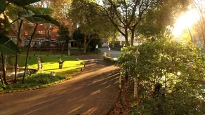SUNNYSIDE PARK - Image 5