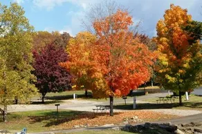 America's Best Campground - Image 3