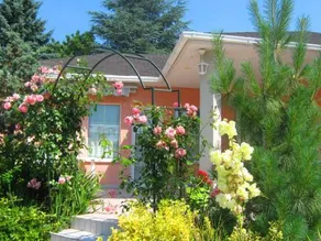 Feszek Apartmanhaz - Image 5