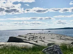 Oyster Cottage - Image 3