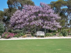 Ashwood Park Bed and Breakfast - Image 2